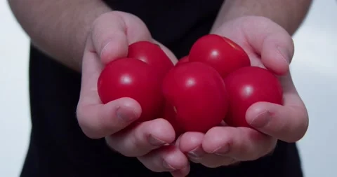 Tomatoes Stock Footage 237370839