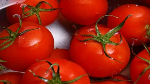 Tomatoes Stock Footage 274107675