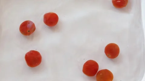 Tomatoes Stock Footage 313037595