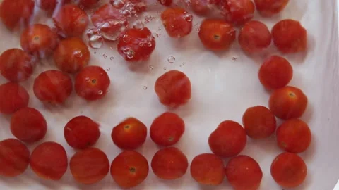 Tomatoes Stock Footage 313037599