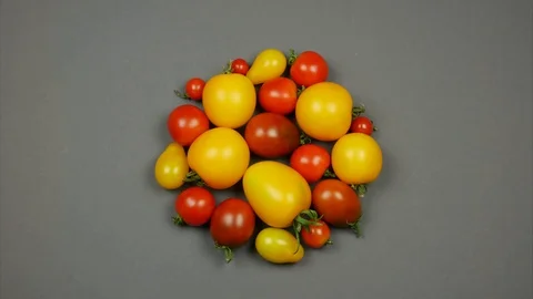 Tomatoes form a circle. Stop motion. Assorted tomatoes in the form of a circle 動画素材 113296229