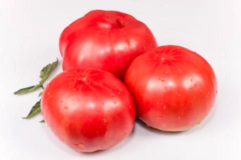 Tomatoes giants Stock Photos