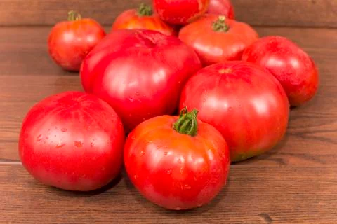 Tomatoes giants Stock Photos
