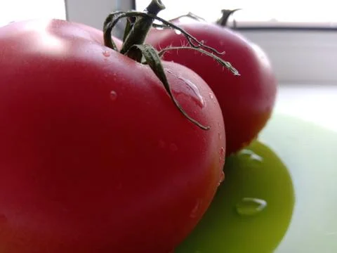 Tomatoes on a green dish 写真素材