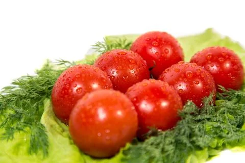 Tomatoes on the green Stock Photos