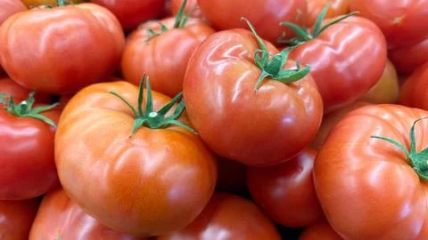 Tomatoes with green stems Stock-Fotos