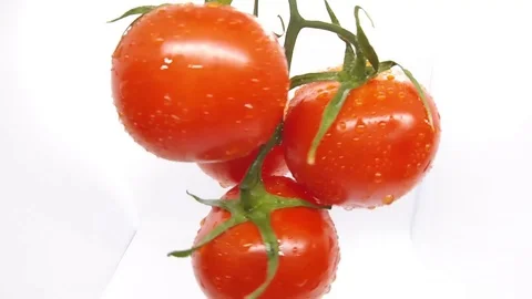 Tomatoes on a green twig Stock Footage 123704851