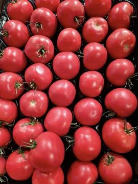 Tomatoes at a grocery store Foto stock