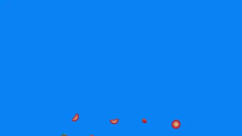 Tomatoes group graphic elements animation, blue screen chroma key Stock Footage 130151083