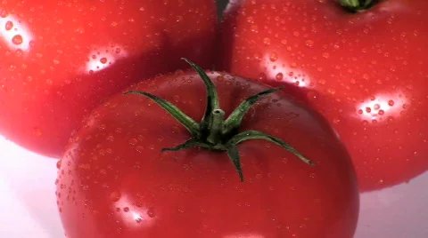 Tomatoes high angle loop  - HD  Stock Footage 371943