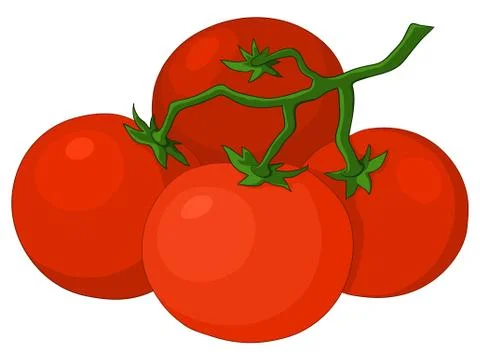 Tomatoes Stock Illustration