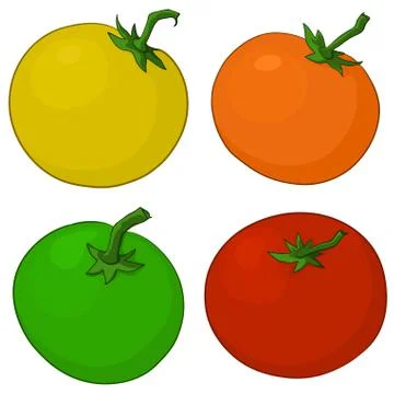 Tomatoes Illustrazione stock