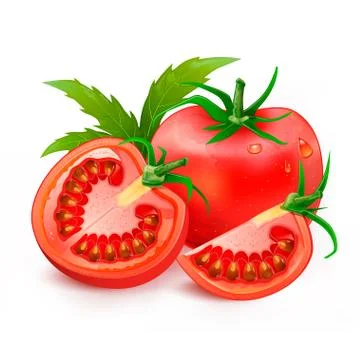 Tomatoes Stock Illustration