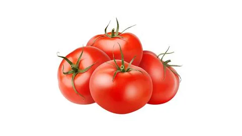 Tomatoes Ilustración de archivo