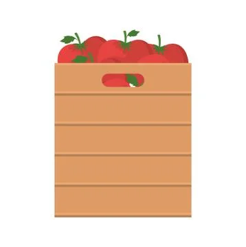 Tomatoes inside box vector design イラスト素材