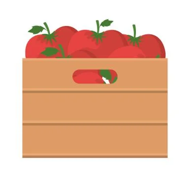 Tomatoes inside box vector design Illustrazione stock