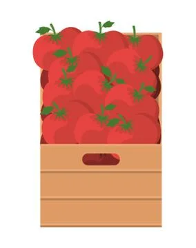 Tomatoes inside box vector design Illustrazione stock