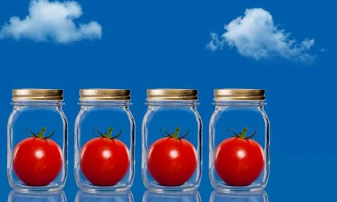 Tomatoes inside jars Stock Photos