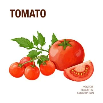 Tomatoes. Isolated objects Stock Illustration