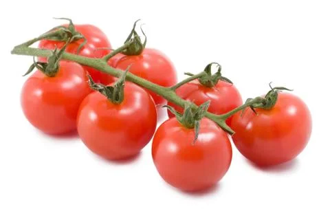 Tomatoes isolated Stock Photos