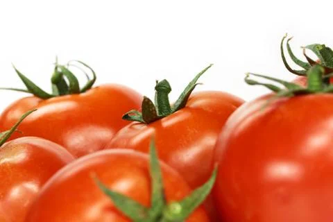 Tomatoes isolated Stock Photos