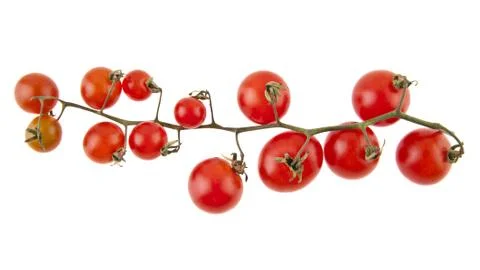 Tomatoes isolated on white background closeup Stock Photos