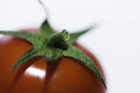 Tomatoes isolated on white background Stock Photos