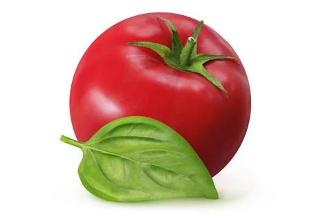 Tomatoes on isolated white background. Stock Photos