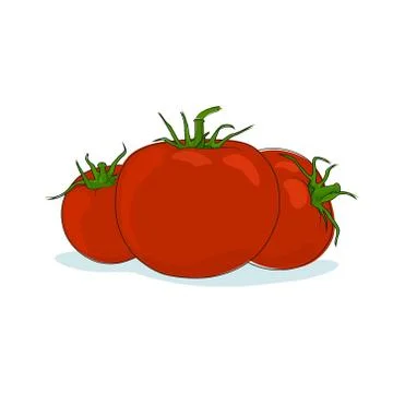 Tomatoes Isolated on White Stock Illustration