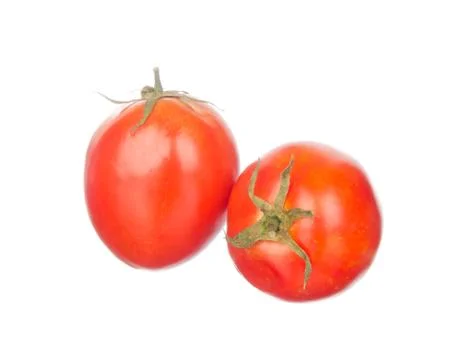 Tomatoes isolated on white Stock Photos