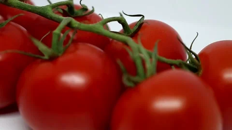 Tomatoes with leaves on a white background Stock Footage 190009079