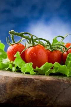 Tomatoes on lettuce Stock Photos