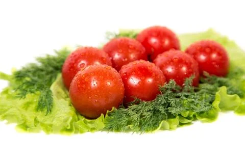 Tomatoes lying on lettuce leaf Stock Photos