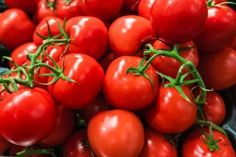 Tomatoes lying on a pile on top of each other, tomato texture. Selective focu Stock Photos