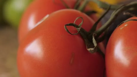 Tomatoes - Macro - Pan Right Video stock 149142532