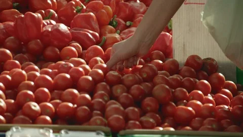 Tomatoes in the Market Vídeos de archivo 86499842