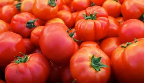 Tomatoes at the market Stock Photos