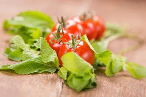 Tomatoes with mint Stock Photos