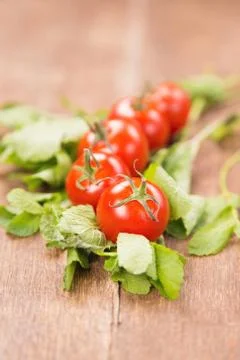 Tomatoes with mint Stock Photos