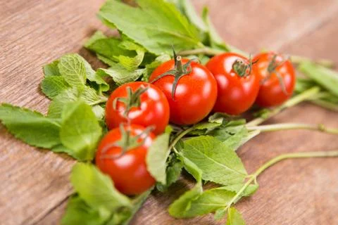 Tomatoes with mint Stock Photos