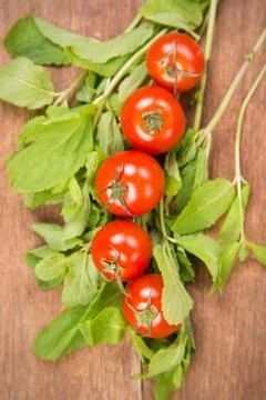 Tomatoes with mint Stock Photos