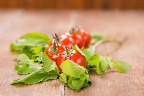 Tomatoes with mint Stock Photos