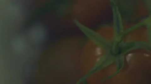 Tomatoes pan1 Stock Footage 163557693