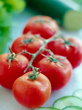 Tomatoes Foto stock