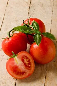 Tomatoes Stock Photos