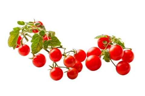 Tomatoes Stock Photos