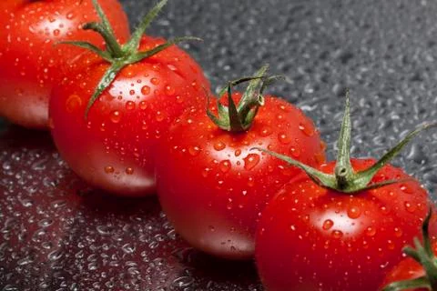 Tomatoes Stock Photos