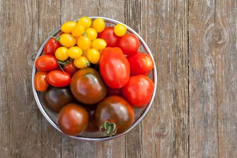 Tomatoes Stock Photos