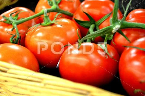 Tomatoes Stock Photos