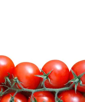 Tomatoes Stock Photos